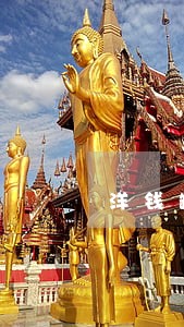洋钱罐逾期几天催款 洋钱罐逾期几天催款