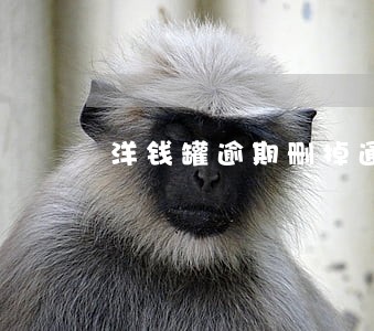 洋钱罐逾期删掉通讯录 洋钱罐逾期删掉通讯录