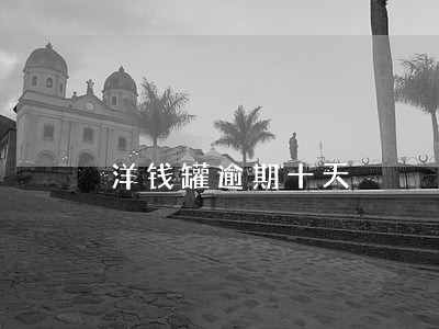 洋钱罐逾期十天
