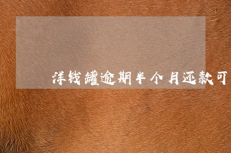 洋钱罐逾期半个月还款可以吗 洋钱罐逾期半个月还款可以吗