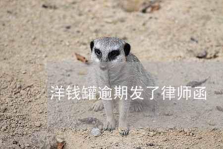 洋钱罐逾期发了律师函 洋钱罐逾期发了律师函