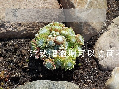 洋钱罐逾期可以协商不 洋钱罐逾期可以协商不