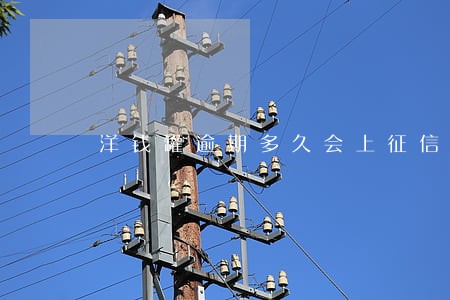 洋钱罐逾期多久会上征信 洋钱罐逾期多久会上征信