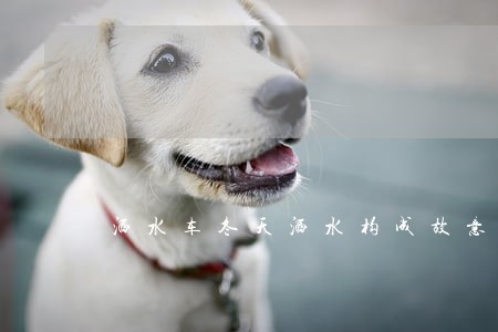 洒水车冬天洒水构成故意伤害罪 洒水车冬天洒水构成故意伤害罪
