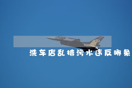 洗车店乱排污水违反哪条法规