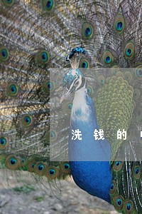 洗钱的中介机构违法吗 洗钱的中介机构违法吗