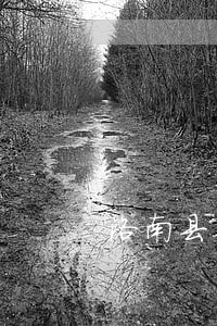 洛南县合同审查免费法律咨询热线