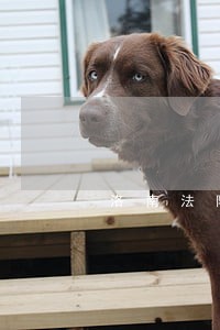 洛南法院兰喜吉