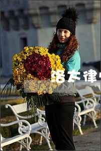 洛太律师 洛太律师