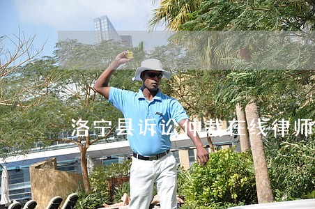 洛宁县诉讼仲裁在线律师