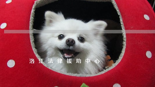 洛江法律援助中心 洛江法律援助中心