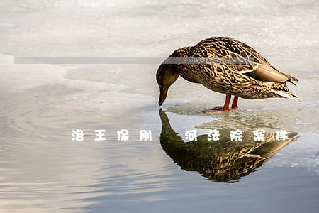 洛王保刚瀍河法院案件 洛王保刚瀍河法院案件