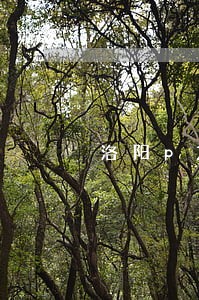 洛阳p2p网贷逾期 洛阳p2p网贷逾期