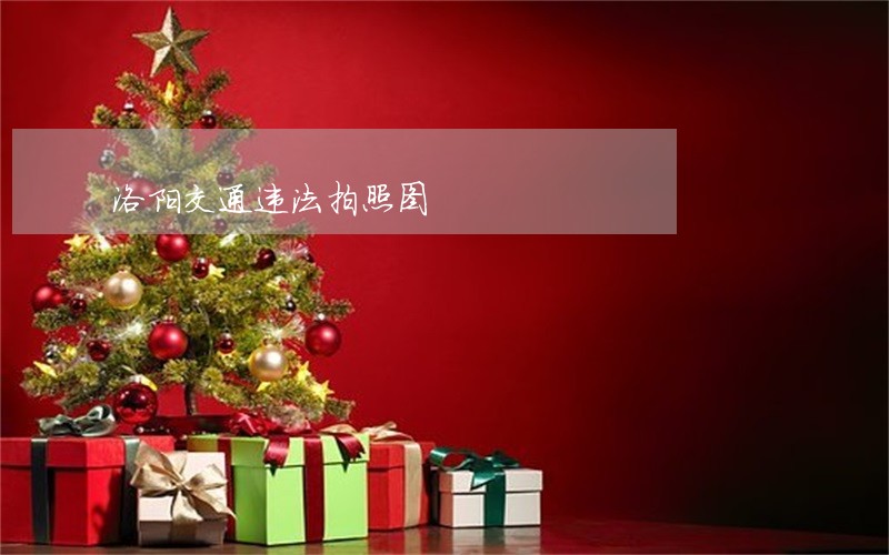 洛阳交通违法拍照图