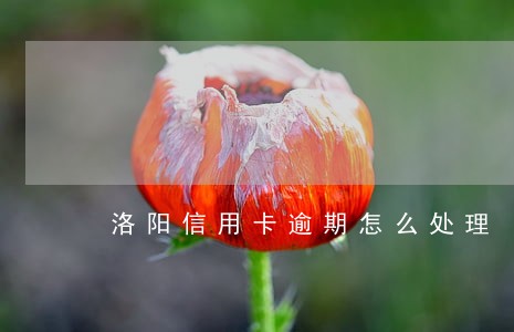 洛阳信用卡逾期怎么处理 洛阳信用卡逾期怎么处理