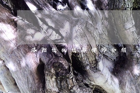 洛阳债权债务律师介绍 洛阳债权债务律师介绍