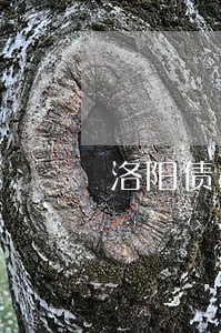 洛阳债权债务律师排名 洛阳债权债务律师排名