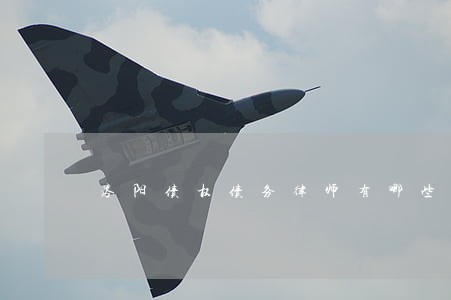 洛阳债权债务律师有哪些 洛阳债权债务律师有哪些