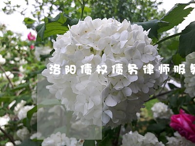 洛阳债权债务律师服务 洛阳债权债务律师服务