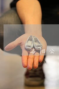 洛阳公司债务律师有哪些 洛阳公司债务律师有哪些