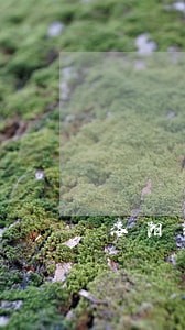 洛阳公司债务律师费用情况 洛阳公司债务律师费用情况