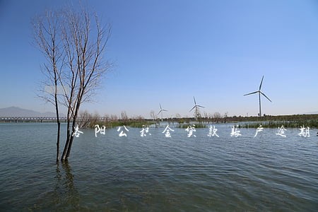 洛阳公积金贷款账户逾期 洛阳公积金贷款账户逾期