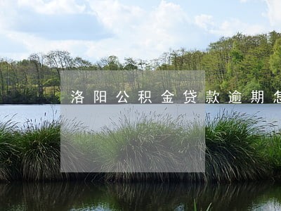 洛阳公积金贷款逾期怎么还款 洛阳公积金贷款逾期怎么还款