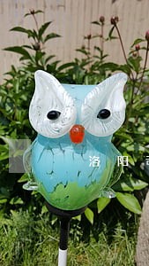 洛阳司法宪法征文 洛阳司法宪法征文