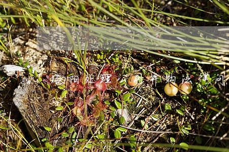 洛阳处理公司并购法律问题律师 洛阳处理公司并购法律问题律师