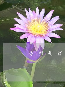 洛阳处理监视居住法律问题律师 洛阳处理监视居住法律问题律师