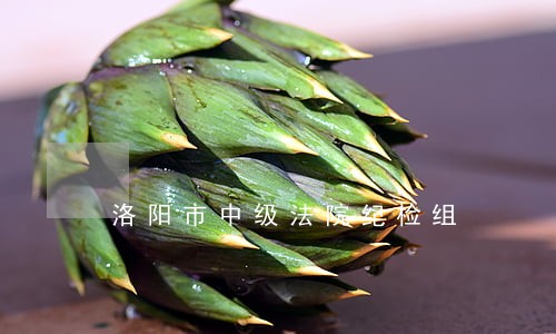 洛阳市中级法院纪检组 洛阳市中级法院纪检组