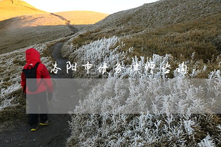 洛阳市债务律师咨询 洛阳市债务律师咨询