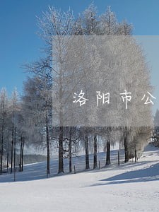 洛阳市公司兼职法律顾问招聘