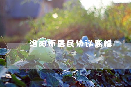 洛阳市居民协议离婚 洛阳市居民协议离婚