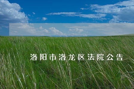 洛阳市洛龙区法院公告 洛阳市洛龙区法院公告
