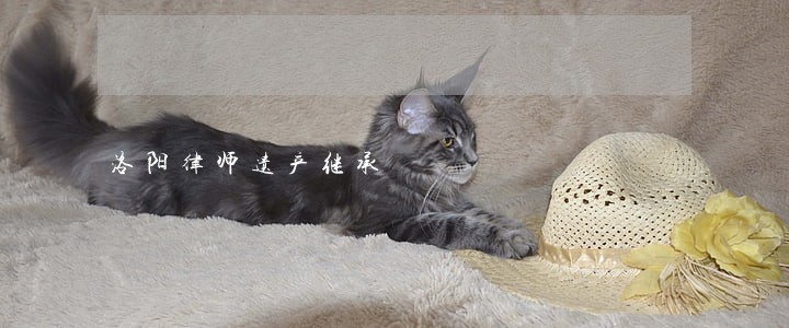 洛阳律师遗产继承