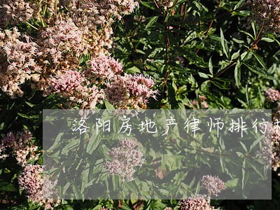 洛阳房地产律师排行榜 洛阳房地产律师排行榜