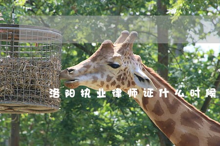 洛阳执业律师证什么时候发