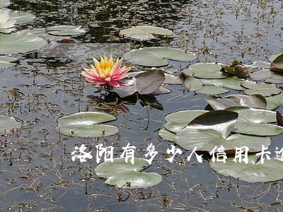 洛阳有多少人信用卡逾期的 洛阳有多少人信用卡逾期的
