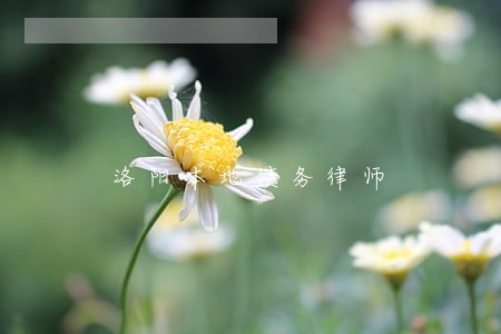 洛阳本地债务律师 洛阳本地债务律师