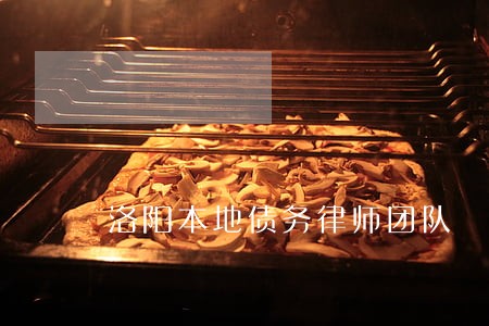 洛阳本地债务律师团队