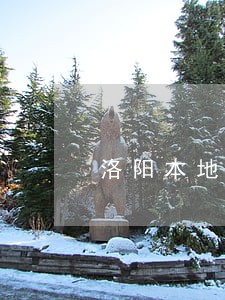 洛阳本地债权债务律师事务所 洛阳本地债权债务律师事务所