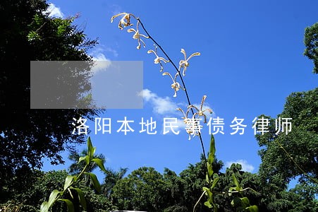 洛阳本地民事债务律师