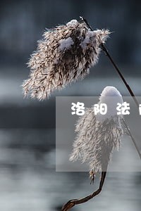 洛阳法院李海雅