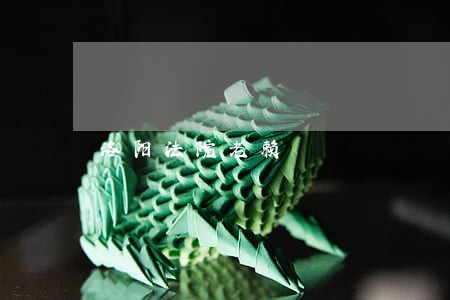 洛阳法院老赖