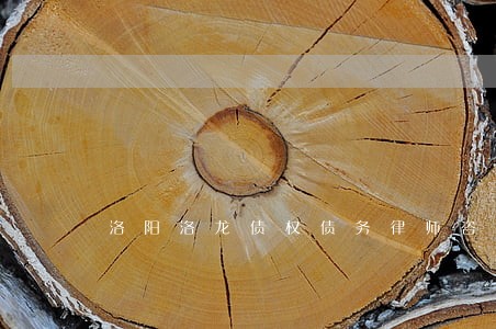 洛阳洛龙债权债务律师咨询 洛阳洛龙债权债务律师咨询