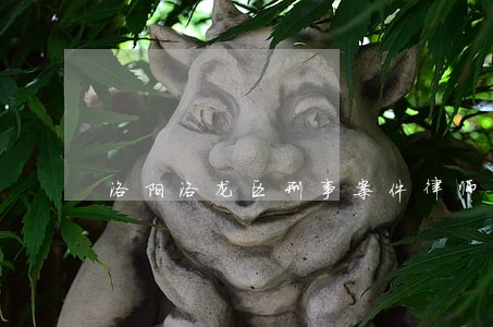 洛阳洛龙区刑事案件律师 洛阳洛龙区刑事案件律师