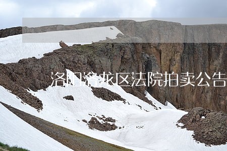 洛阳洛龙区法院拍卖公告