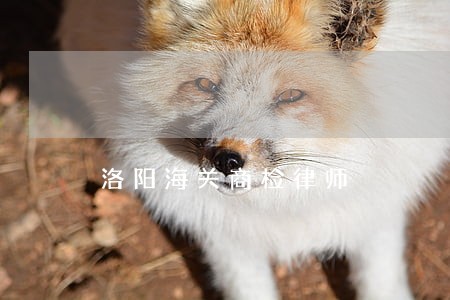 洛阳海关商检律师 洛阳海关商检律师