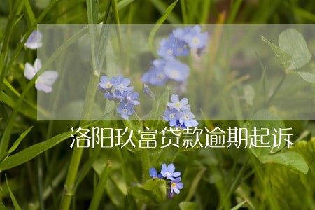 洛阳玖富贷款逾期起诉 洛阳玖富贷款逾期起诉